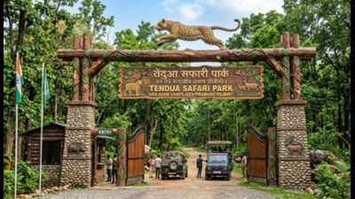 The proposed design for the entry gate of the safari. S (Sourced)