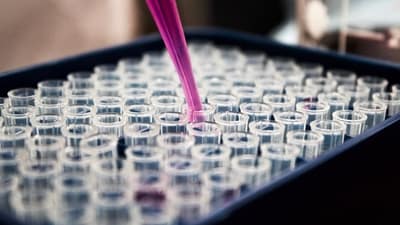 Scientifically called oocyte cryopreservation, the process involves hormonal stimulation of the ovaries, usually for 10 to 14 days, followed by egg retrieval. (Unsplash/Representative)
