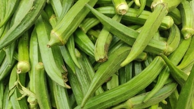 Read more to find out about the nutritional benefits of okra! (Unsplash) Read more to find out about the nutritional benefits of okra! (Unsplash)