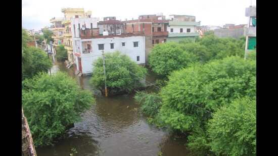 An inundated locality in Bareilly on Monday. (HT PHOTO)