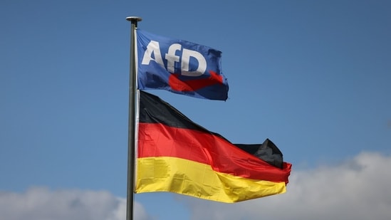 An Alternative for Germany (AfD) party flag and the German national flag on a flagpole in Bellingen, Germany, on Sept. 6, 2026.