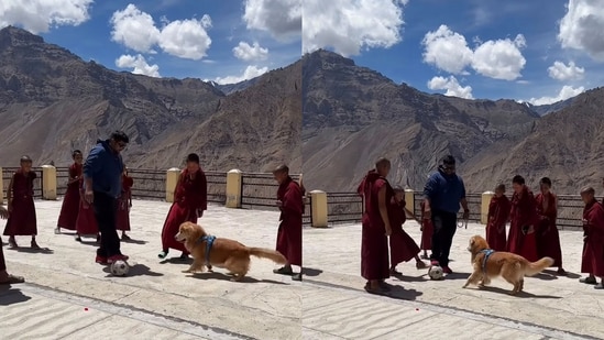 Dog’s football game with monks wins hearts online.