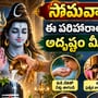 Monday Remedies: సోమవారం ఈ పరిహారాలు చేస్తే అదృష్టం మీ వెంటే.. డబ్బు, ప్రశాంతత కోసం ఇవి పాటించండి!