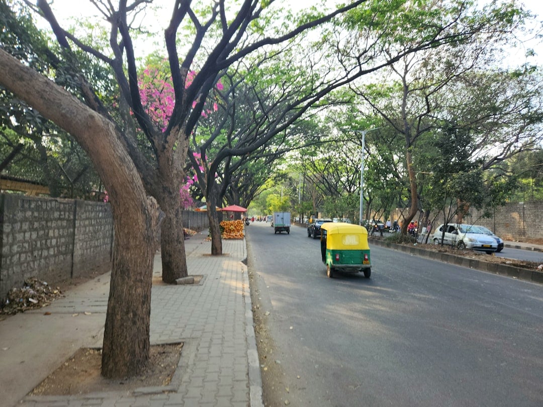 A road in Bengaluru, Karnataka. (Unsplash/ Representational)