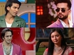 Bigg Boss 20 contestants seem familiar to old housemates.