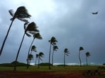 Palm trees bend from strong winds amid Hurricane Lowell heading towards Hawaii.