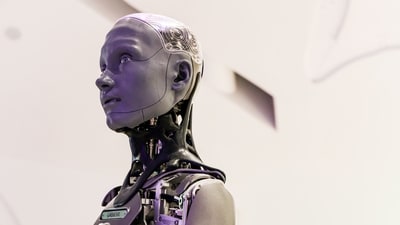 While it is true that AI is disrupting corporate software, the incumbents are mounting a defense. And they have a lot more staying power than it might seem.