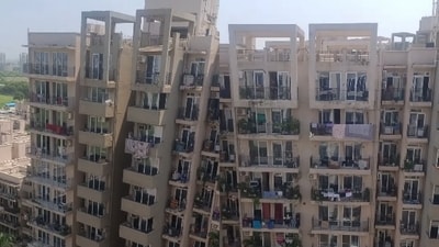 A woman urged people to work in metro cities but invest back home, saying village life offered a better quality of life. (Instagram/dikshagupta371) A woman urged people to work in metro cities but invest back home, saying village life offered a better quality of life. (Instagram/dikshagupta371)