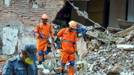 Delhi building collapse LIVE: NDRF personnel with K9 dog squad conducts search and rescue operation at the PG building collapse site at Satya Niketan, in New Delhi Delhi building collapse LIVE: NDRF personnel with K9 dog squad conducts search and rescue operation at the PG building collapse site at Satya Niketan, in New Delhi