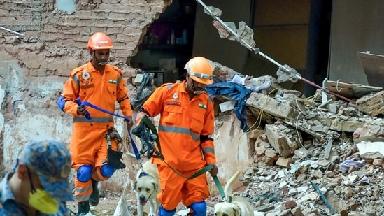 NDRF personnel with a K9 dog squad conduct a search and rescue operation at the PG building collapse site at Satya Niketan, in New Delhi. (ANI)