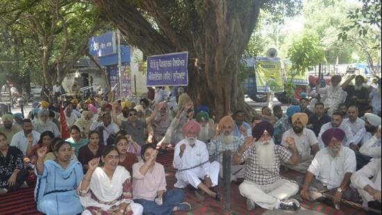 Punjab government employees observing a strike in Ludhiana on Tuesday. The protesters were demanding the immediate release of pending dearness allowance arrears. (Gurpreet Singh/HT)