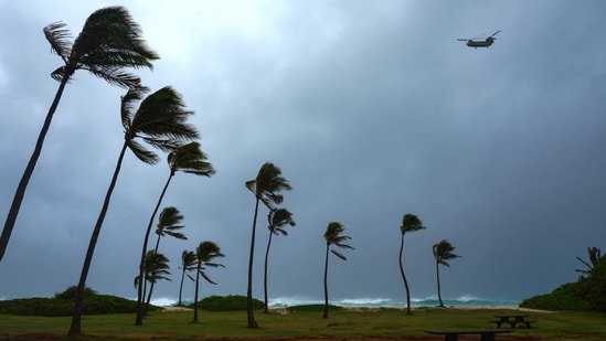 Palm trees bend from strong winds amid Hurricane Lowell heading towards Hawaii.
