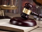 A single-judge bench passed the September 2 order, which was uploaded on the high court’s website on September 8 (Tuesday). (Shutterstock)