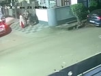The 30-year-old driver was arrested and his Volkswagen Taigun seized after CCTV captured the fatal accident in Sector 6. (HT)