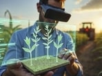 Understanding the role of innovation in food security in the Gulf