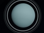 Uranus Retrograde