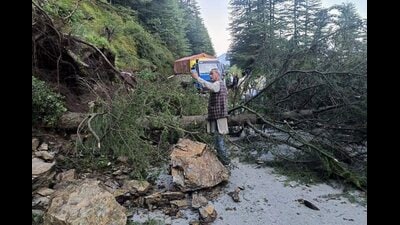 An uprooted tree blocks National Highway 5 (NH 5) following a landslide disrupting vehicular movement, at Theog area in Shimla, Himachal Pradesh, Tuesday. (PTI)