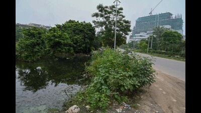 Residents said internal roads need repairs, while vacant plots and a service lane near Aloha Apartments are being used for waste dumping. (Parveen Kumar/HT) Residents said internal roads need repairs, while vacant plots and a service lane near Aloha Apartments are being used for waste dumping. (Parveen Kumar/HT)