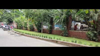 The tribunal has also found that a light on one of the poles is not functioning, and has directed the PWD to repair it immediately. (MAHENDRA KOLHE/ HT) The tribunal has also found that a light on one of the poles is not functioning, and has directed the PWD to repair it immediately. (MAHENDRA KOLHE/ HT)
