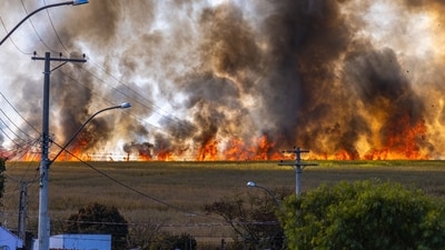Los Angeles Getty Fire map and evacuation updates: Is The Getty Center threatened as blaze burns near I-405? (Pexel - representational image) Los Angeles Getty Fire map and evacuation updates: Is The Getty Center threatened as blaze burns near I-405? (Pexel - representational image)