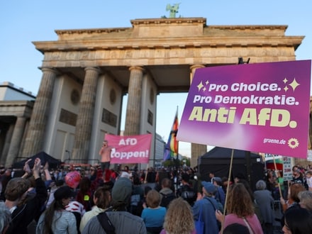 A demonstrator wears items signalling opposition to the far-right Alternative for Germany (AfD) party, during a protest the day after the party's victory in state elections in Saxony-Anhalt at the Brandenburg Gate in Berlin, Germany, September 7, 2026. 
