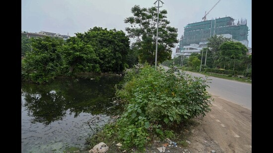 Residents said internal roads need repairs, while vacant plots and a service lane near Aloha Apartments are being used for waste dumping. (Parveen Kumar/HT)