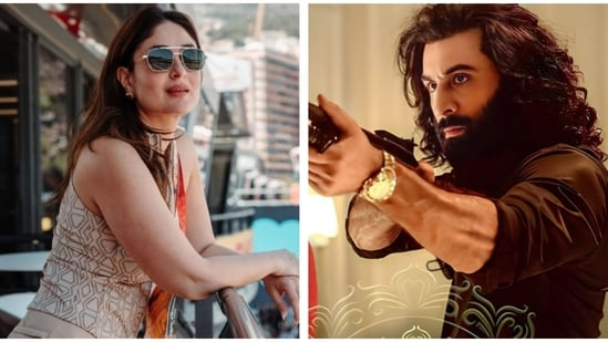 Kareena Kapoor gave the example of Animal to say how the film industry wants to do more violence-oriented films.