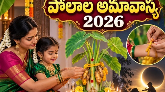 పోలాల అమావాస్య సెప్టెంబర్ 10న, 11న? తేదీ, సమయం, పూజా విధానం.. కంద మొక్క, తోరం, నైవేద్యం వివరాలు! (AI)