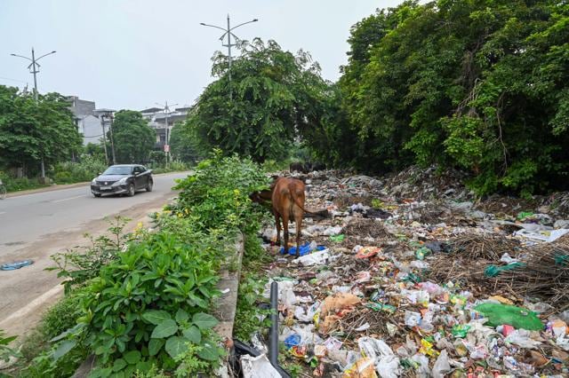 Illegally dumped garbage along the service road in Sushant Lok-3 near Sector 57, as seen on Tuesday. (Parveen Kumar/HT) Illegally dumped garbage along the service road in Sushant Lok-3 near Sector 57, as seen on Tuesday. (Parveen Kumar/HT)