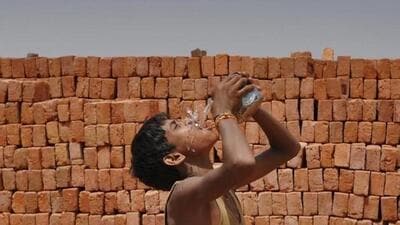 Global temperatures rose 1.65°C above pre-industrial levels in August, making it the joint hottest month on record amid strengthening El Niño conditions. (Representative photo) Global temperatures rose 1.65°C above pre-industrial levels in August, making it the joint hottest month on record amid strengthening El Niño conditions. (Representative photo)