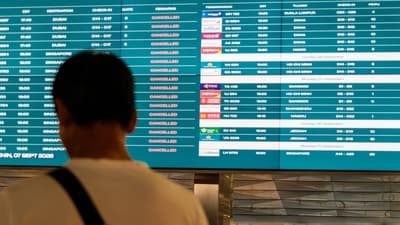 A stranded passenger looks at a flight information screen. (AFP) A stranded passenger looks at a flight information screen. (AFP)
