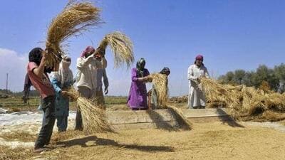 नवीनतम आंकड़ों से पता चलता है कि ब्रिक्स देशों में भारत के पास सबसे बड़ा खेती क्षेत्र है, लेकिन इसकी अनाज की पैदावार चीन से काफी कम है।