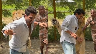 A video of a lion 'attacking' Kiran Raj was recently circulated on social media. A video of a lion 'attacking' Kiran Raj was recently circulated on social media.