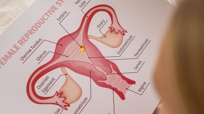 PCOS doesn’t mean you can’t get pregnant. (Pexel) PCOS doesn’t mean you can’t get pregnant. (Pexel)