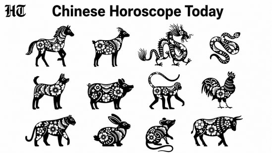 Chinese Horoscope Today: Read the astrological predictions for each zodiac sign based on an expert's guidance (pinterest)