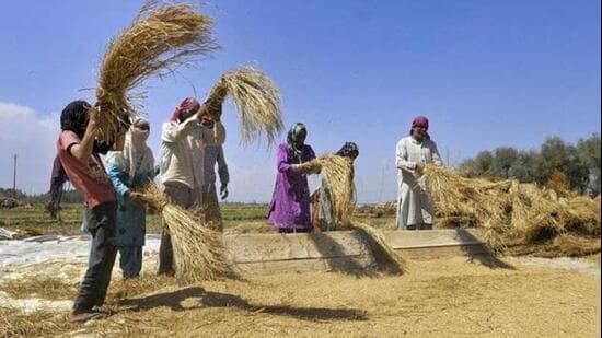 India has the largest cultivated area among BRICS nations, but its cereal yields remain well below China’s, the latest data shows.