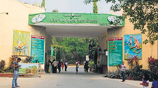Sanjay Gandhi National Park (Hindustan Times)
