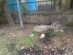 Sewage blockage at a Noida sector. (HT Photo)