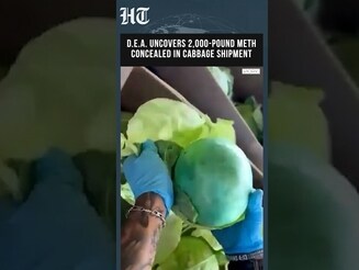 DEA Uncovers 2,000-Pound Meth Shipment Hidden Inside Cabbage Cargo In Major Drug Bust