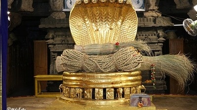 శ్రీవారి బ్రహ్మోత్సవాల దర్భ చాప, తాడు ఊరేగింపు శ్రీవారి బ్రహ్మోత్సవాల దర్భ చాప, తాడు ఊరేగింపు