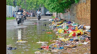 Garbage lying on the roadside at Dugri, Dhandra Road, in Ludhiana on Saturday. (Gurpreet Singh/ht)