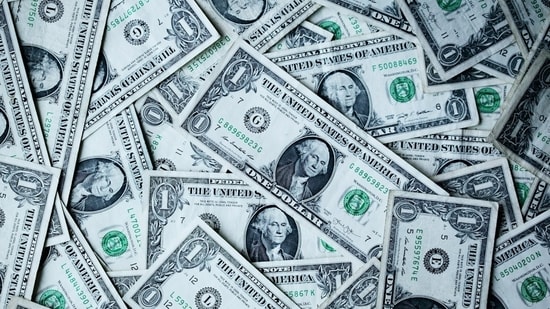 Reagan France, a former Northern Kentucky bank manager, has pleaded guilty to stealing over $335,000 from customer accounts.