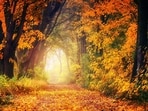 Autumn Equinox date, timings and astrological significance.
