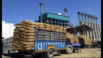 Paddy procurement is expected to begin from October 1. (HT File)