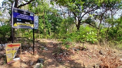 Thane, India - September -13, 2026: The highly opposed Thane Integral Metro Rail (TIMR) project will not only require the acquisition of several houses and industrial properties and affect the green cover in Thane city, but will also lead to the uprooting of 317 trees falling within the eco-sensitive zone of the Yeoor-Sanjay Gandhi National Park in Thane. The proposed project would pass through the eco-sensitive zone of the park, potentially disrupting the environment, flora and faun ,in Thane ,in Mumbai, India, on, Sunday, September -13, 2026. ( photo by Praful Gangurde / Hindustan Times ) (Praful Gangurde)