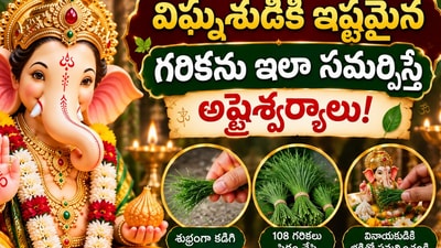 గణేష్ చతుర్థి: విఘ్నేశుడికి ఇష్టమైన గరికను ఇలా సమర్పిస్తే అష్టైశ్వర్యాలు! (AI)