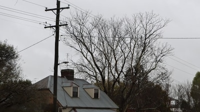 Heavy rainfall in New Jersey resulted in power outages exceeding 5,600 customers on Sunday. (Unsplash) Heavy rainfall in New Jersey resulted in power outages exceeding 5,600 customers on Sunday. (Unsplash)