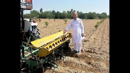 Farmer Ravi Singhmar during a carrot seed sowing exercise in his field in Dharamura, near Abohar, Punjab, on Sunday. (Sanjeev Kumar/HT)
