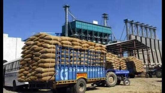 Paddy procurement is expected to begin from October 1. (HT File)