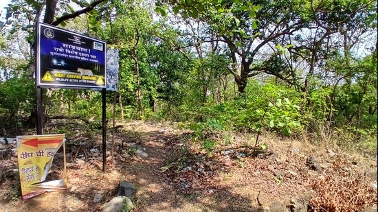 Thane, India - September -13, 2026: The highly opposed Thane Integral Metro Rail (TIMR) project will not only require the acquisition of several houses and industrial properties and affect the green cover in Thane city, but will also lead to the uprooting of 317 trees falling within the eco-sensitive zone of the Yeoor-Sanjay Gandhi National Park in Thane. The proposed project would pass through the eco-sensitive zone of the park, potentially disrupting the environment, flora and faun ,in Thane ,in Mumbai, India, on, Sunday, September -13, 2026. ( photo by Praful Gangurde / Hindustan Times ) (Praful Gangurde)